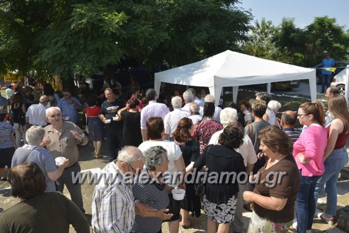 alexandriamou.gr_trikala28.5.2018355